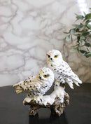Mystical Tundra Forest Snow White Owls Couple On Tree Branch Figurine 6"H