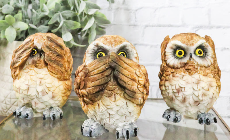 Wisdom Of The Forest See Hear Speak No Evil Great Horned Owls Mini Figurines Set