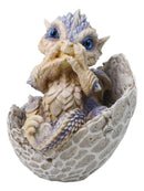 Adorable Blue Baby Dragon Hatchling Cracking Out of Egg Shell Figurine 4"H