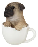 Realistic Adorable Pug Dog Teacup Statue 5.5" Tall Pet Pal Puppy Pugs Figurine