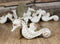 Set Of 6 Antique White Seahorses Ocean Marine Wall Hanging Decor Tree Ornaments
