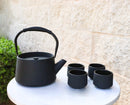 Black Modern Straight Edge Tetsubin Cast Iron Teapot 33oz And 4 Tea Cups Set