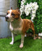 Large Lifelike Realistic American Pit Bull Terrier Dog Statue 21.75"L Decor