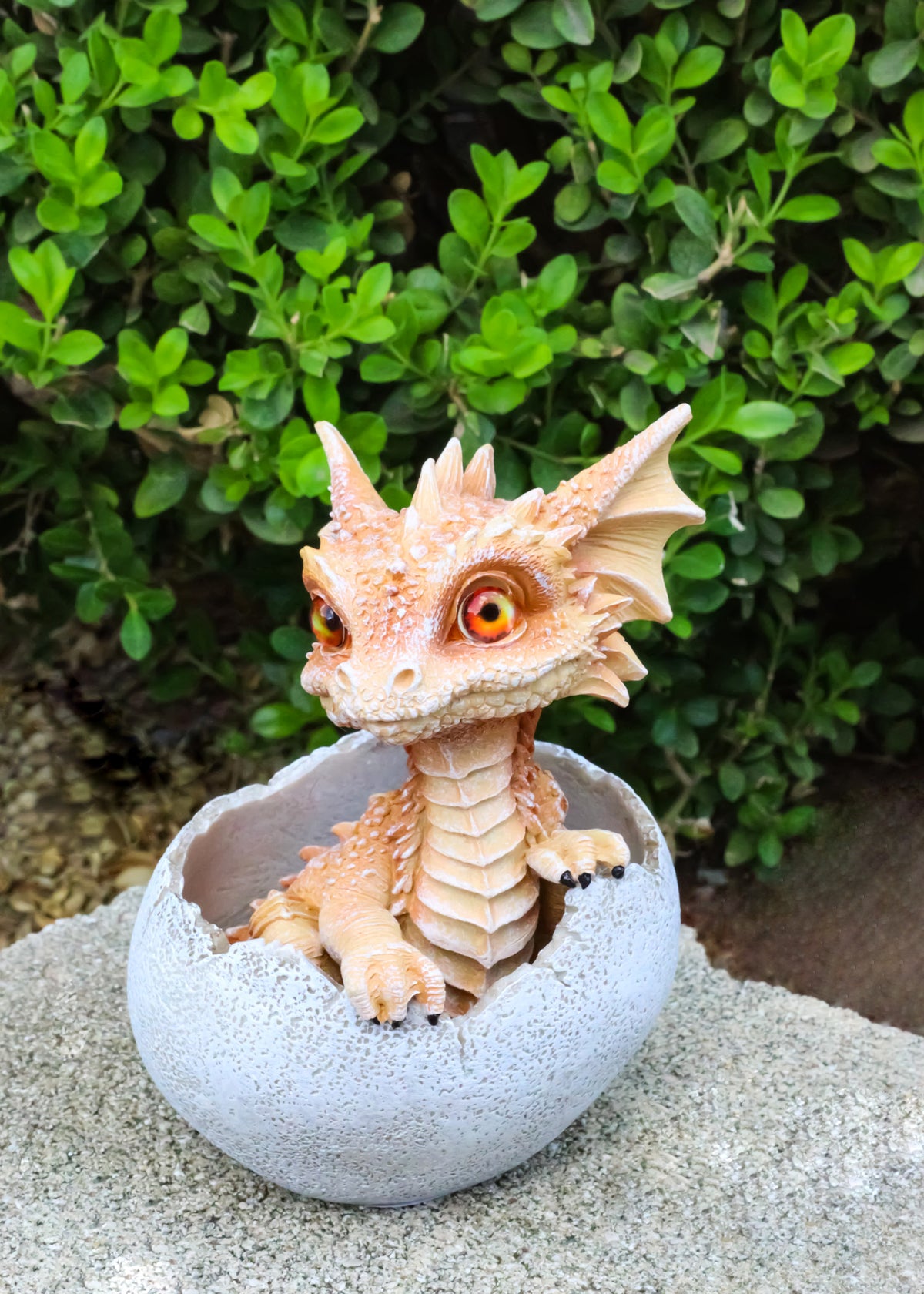 Ebros Orange Clay Colored Dragon Hatchling in Egg Fantasy Figurine, 5 Inch