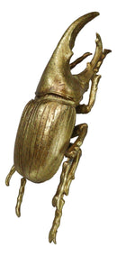 Medium Gold Resin Hercules Rhinoceros Beetle Wall Decor Or Tabletop Figurine