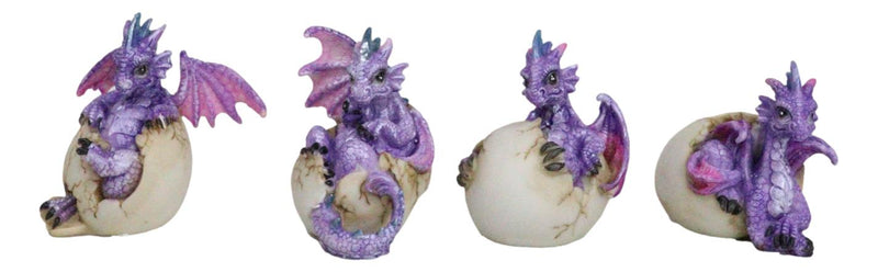 Set Of 4 Purple Spyro Baby Dragon Hatchlings Breaking Out Of Eggs Figurines
