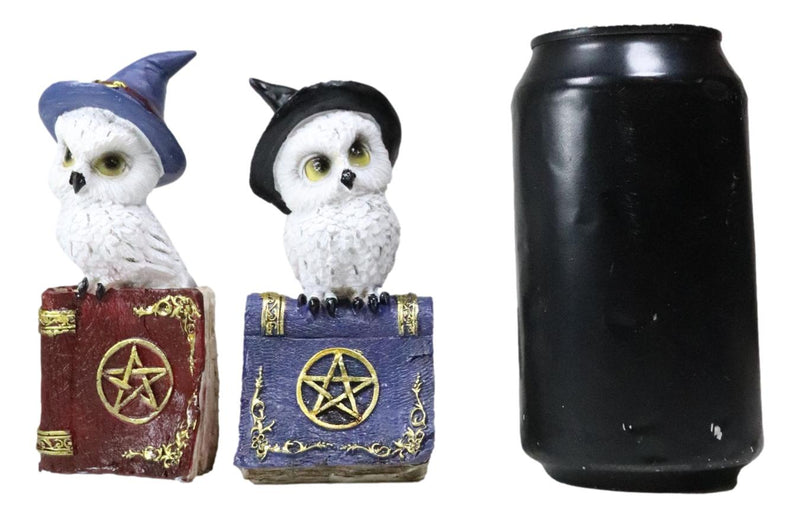 Pack Of 2 Witchcraft Spell Witch Snow Owls On Pentagram Spellbooks Figurine