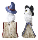 Pack Of 2 Witchcraft Spell Witch Snow Owls On Pentagram Spellbooks Figurine