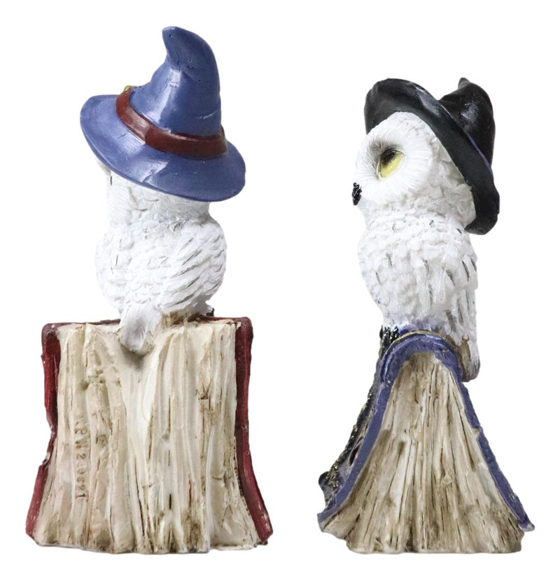 Pack Of 2 Witchcraft Spell Witch Snow Owls On Pentagram Spellbooks Figurine