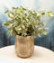 Realistic Artificial Botanica Sage Bush Faux Plant Fern In Patterned Pot 10"H