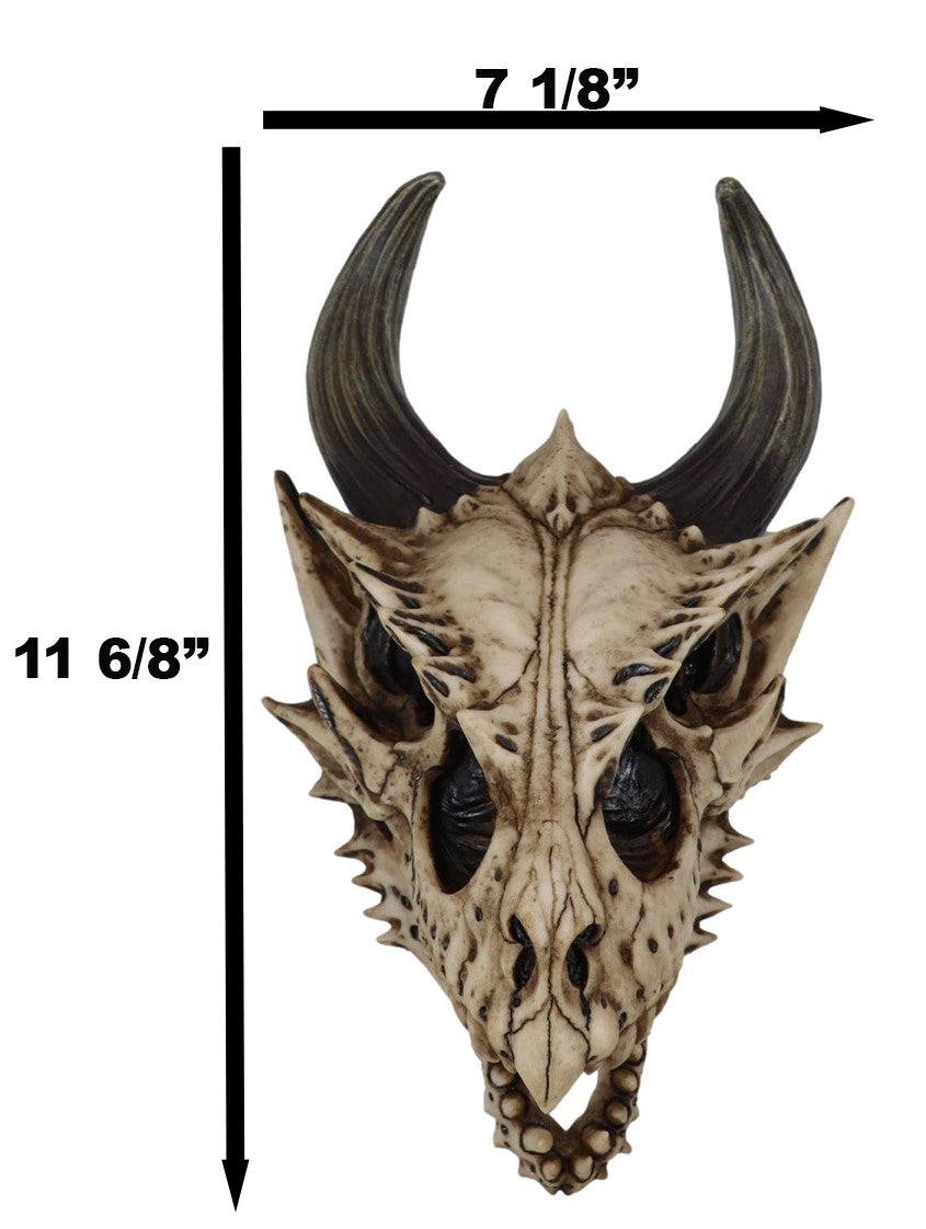 Jurassic Beowulf Gnarling Dragon Head Skull Realistic Fossil Wall Decor Figurine