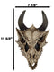 Jurassic Beowulf Gnarling Dragon Head Skull Realistic Fossil Wall Decor Figurine