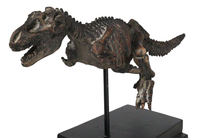 Jurassic T-Rex Tyrannosaurus Rex Dinosaur Fossil Skeleton Statue On Base Stand