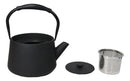 Black Modern Straight Edge Design Tetsubin Larger Cast Iron Teapot 33oz