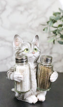Gray Tabby Cat Salt and Pepper Glass Shakers Holder Set Cute Kitten Figurine