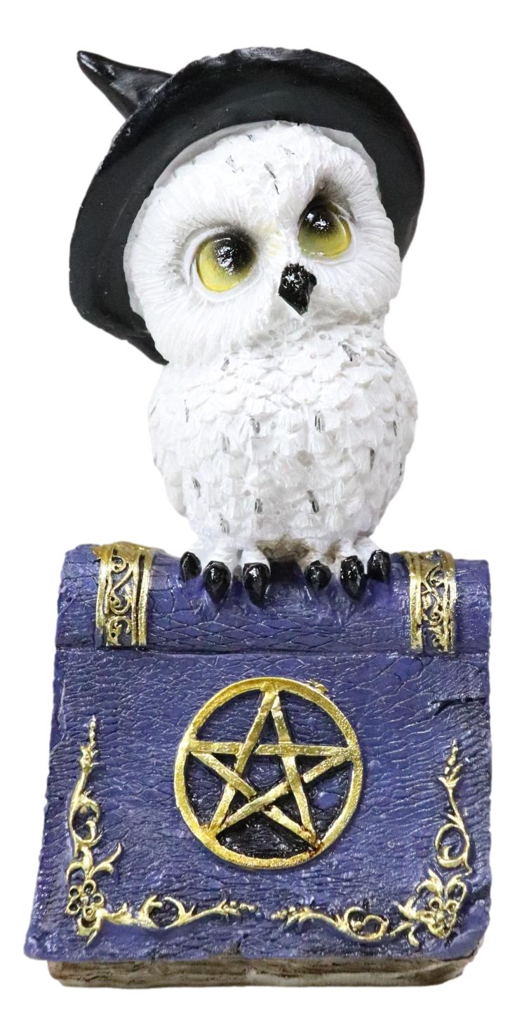 Pack Of 2 Witchcraft Spell Witch Snow Owls On Pentagram Spellbooks Figurine
