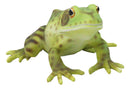 Amphibian Wild Creatures Realistic Green Frog Decorative Figurine