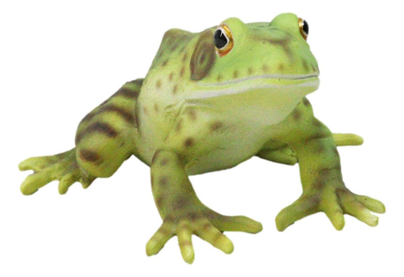 Amphibian Wild Creatures Realistic Green Frog Decorative Figurine