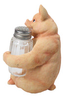 Cute Pig Salt and Pepper Shaker Holder Set with Glass Shakers, Smiling Porky Pig