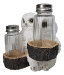 Wildlife Birds White Snowy Owl Couple Salt and Pepper Glass Shakers Holder