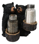 Rustic Forest Black Bear Couple Glass Salt and Pepper Shakers Holder Figurine