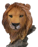 Safari Grasslands Jungle Pride Rock Lion King Bust Decorative Figurine 4.75" H