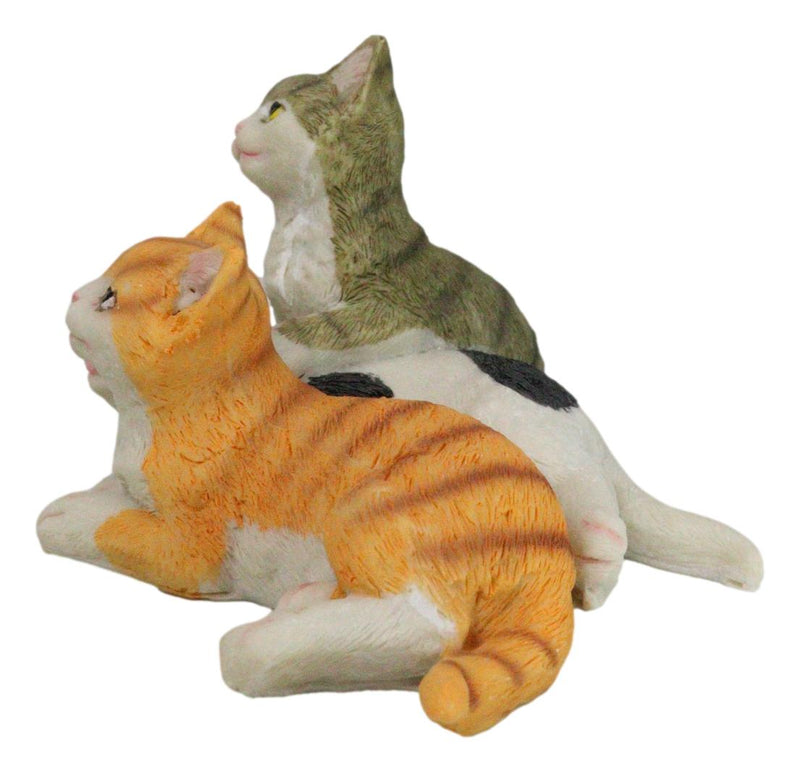 Lifelike Adorable 3 Calico Grey Tabby Colorful Kitten Cats Cuddling Figurine