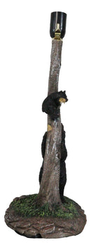 Rustic Black Mother Bear Playing With Cub Hanging On Tree Branch Table Lamp