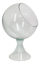 Contemporary Clear Glass Globe Storage Display Bowl 16"H Fruits Succulents