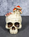 Wicca Gothic Toadstool Mushrooms And Fungi Skull Decorative Trinket Box Figurine