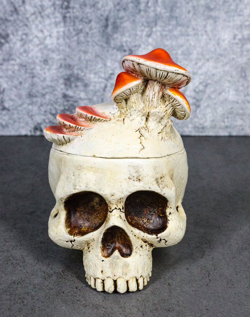 Wicca Gothic Toadstool Mushrooms And Fungi Skull Decorative Trinket Box Figurine