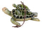 Set Of 6 Green Mother and Baby Sea Turtles Marine Wall Decor Tree Ornaments