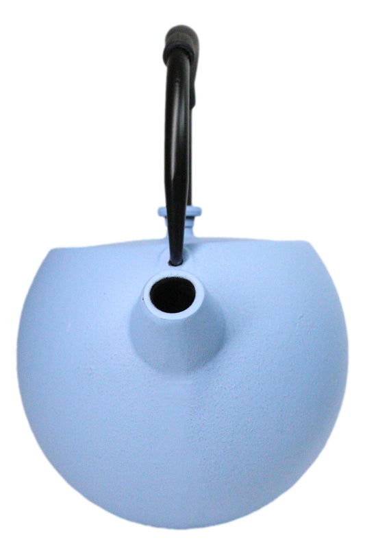 Pastel Blue Minimalistic Tilted Round Cast Iron Teapot 28oz Tea Pot With Handle