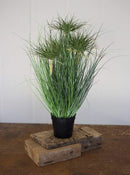 Large Realistic Lifelike Artificial Cyprus Grass Plant In Black Pot Botanica