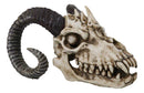 The Beast of Endragon Elder Dragon Head Skull with Ram Horns Figurine 7.5"L