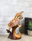 Ocean Marine Sea Turtle Mother and Hatchling Figurine Faux Wood Carved Look