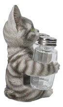Gray Tabby Cat Salt and Pepper Glass Shakers Holder Set Cute Kitten Figurine