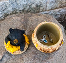 Western Forest Black Honey Pot Bear Life is Sweet Decorative Trinket Jewelry Box