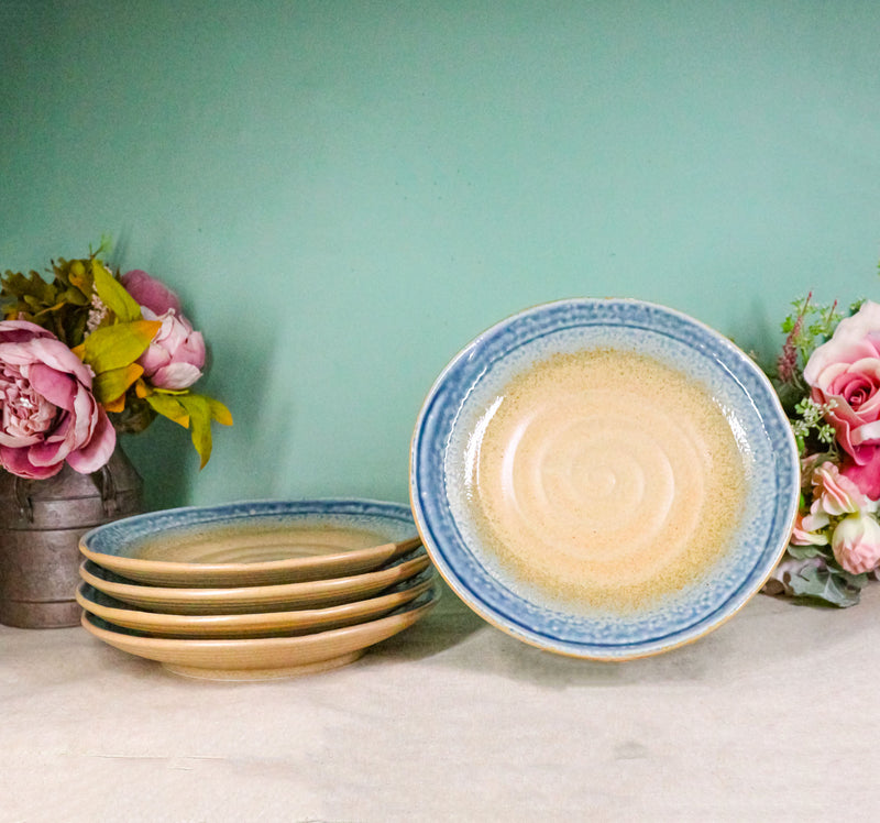 Pack Of 5 Blue River Ao Nagashi Collection Porcelain Round Dinner Plates 8.75" D