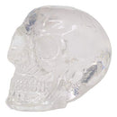 Set Of 12 Clear Translucent Witching Hour Gazing Skull Miniature Figurines 2.5"L