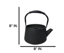 Black Modern Straight Edge Design Tetsubin Larger Cast Iron Teapot 33oz