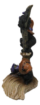 Halloween 5 Black Kitten Cats with Witch Hats Perching On Broomstick Figurine
