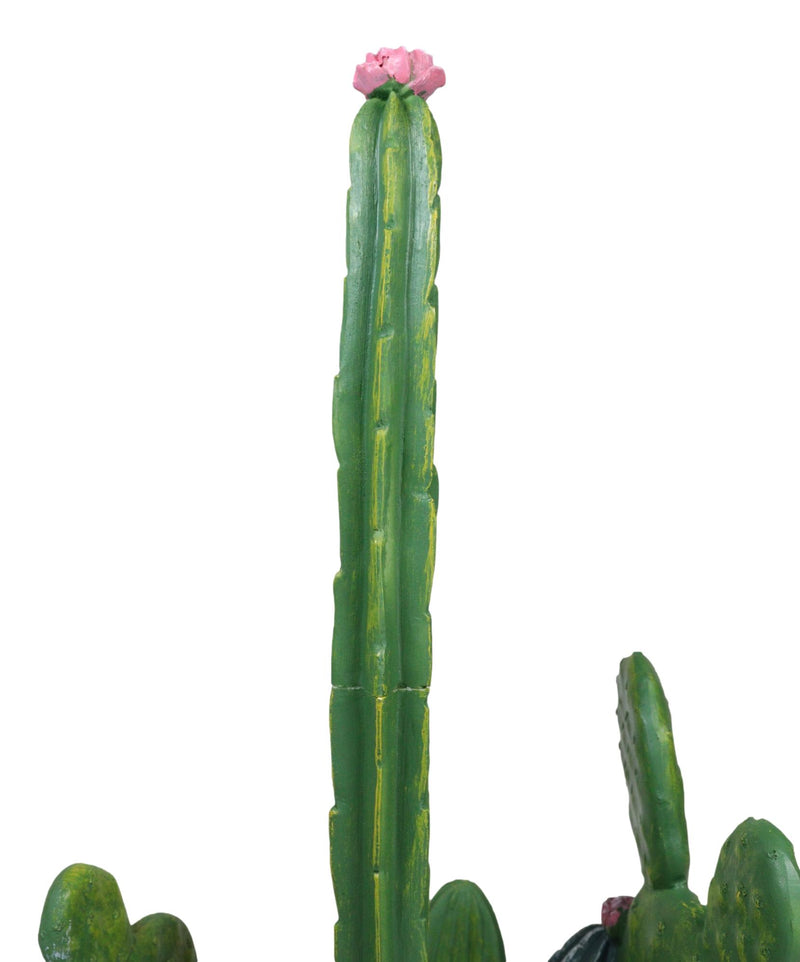 Rustic Western Desert Forest Saguaro Cactus Cacti Paper Towel Holder Stand Decor