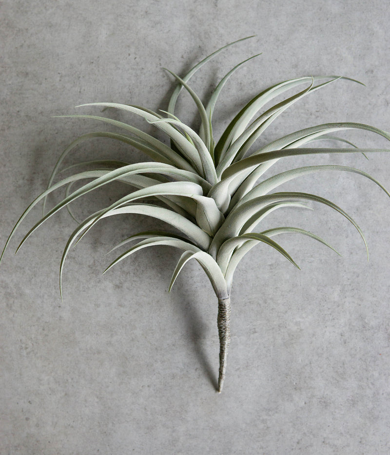 faux air plants Set Of 4 Realistic Large Artificial Air Plant Succulents Stem Green Bo– Ebros Gift