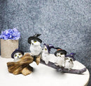 Halloween 5 Snow Owls and Owlets with Witch Hats Perching On Broomstick Figurine