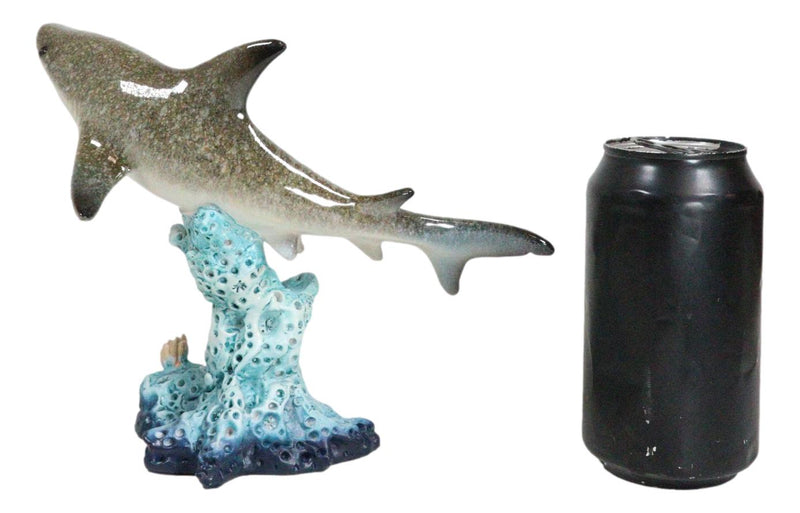 Nautical Marine Wildlife Great White Shark Swimming Over Sea Coral Reef Statue