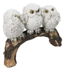 Woodland Wisdom See Hear Speak No Evil Wise Snowy Owls Figurine On Tree Branch