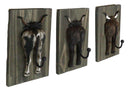 Set of 3 Rustic Western Steer Bulls Hind Butt Coat Wall Hooks With Wooden Plaque