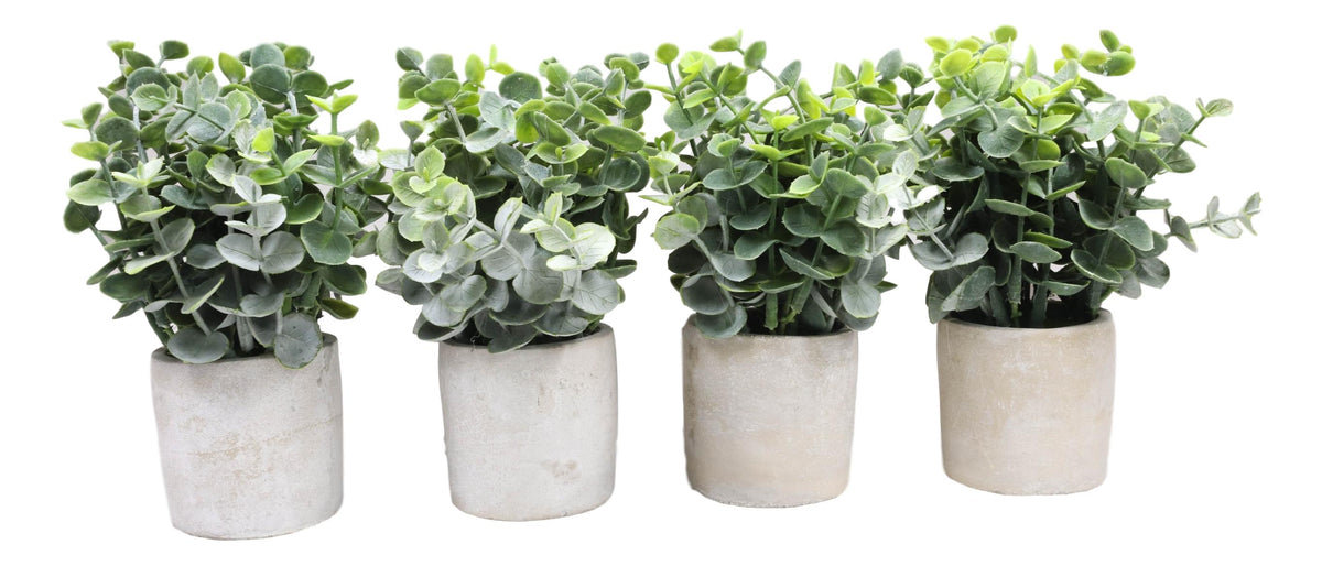 Set of 4 Realistic Artificial Botanica Boxwood Sage Bush Plant in Concrete Pots