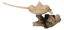 Marine Balinese Hand Carved Coral Reef Manta Ray On Burl Parasite Wood Base 8"L